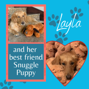 Layla Snuggle Puppy calming
